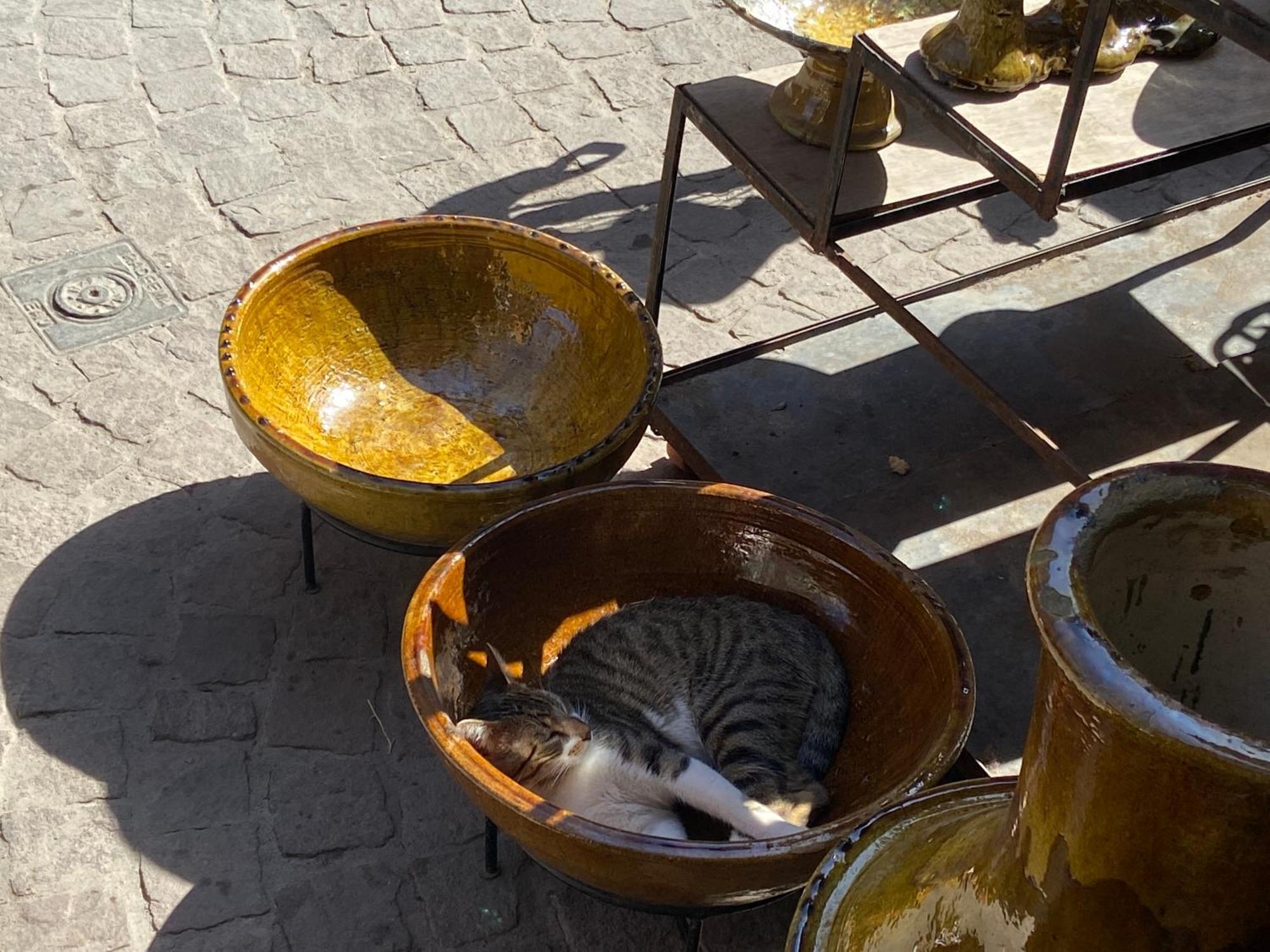 Villa Louisa Piscine Privee Sans Vis A Vis Dyar Shemsi Taroudant Eksteriør bilde