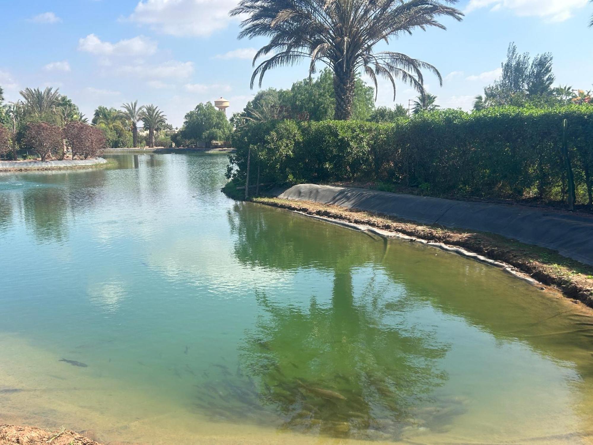 Villa Louisa Piscine Privee Sans Vis A Vis Dyar Shemsi Taroudant Eksteriør bilde